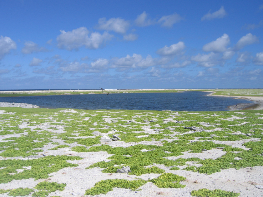 Birnie Island, Kiribati